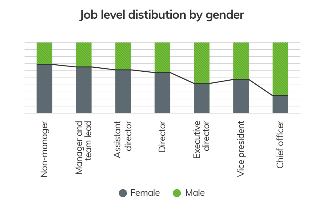 Bar graph showing job level distribution by gender