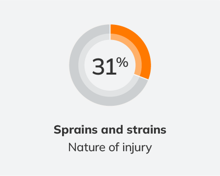 31 percent sprains and strains - Schedule 1