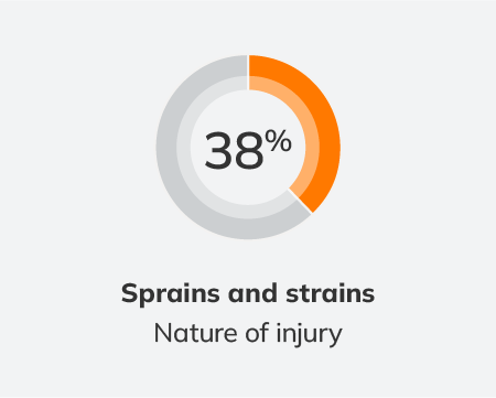 38 percent sprains and strains - Schedule 2