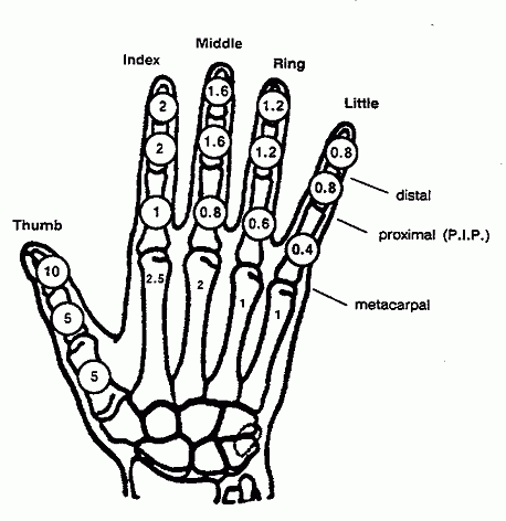 Amputation Percentages Chart